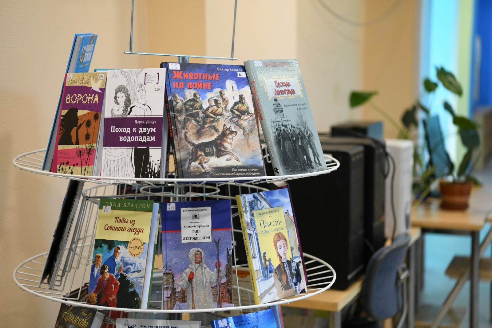 библиотека им кравченко кондопога. библиотека кондопога. волгореченск детская библиотека. детское село, пролетарская улица, 6. библиотека кондопога.