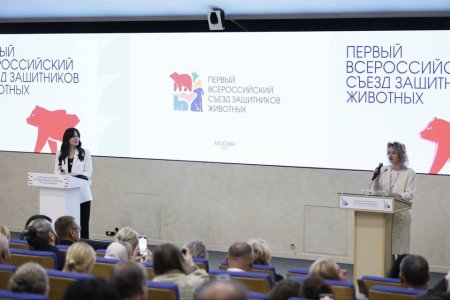 Поддержана идея создания Всероссийского союза защитников животных