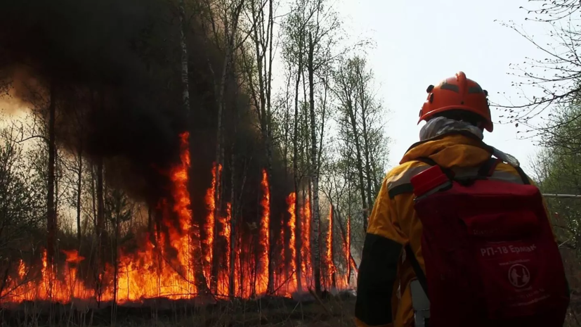 В Тюмени увеличат финансирование для тушения лесных пожаров