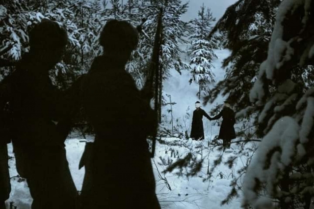 Расстрел финнами девушек, служивших в Красной Армии