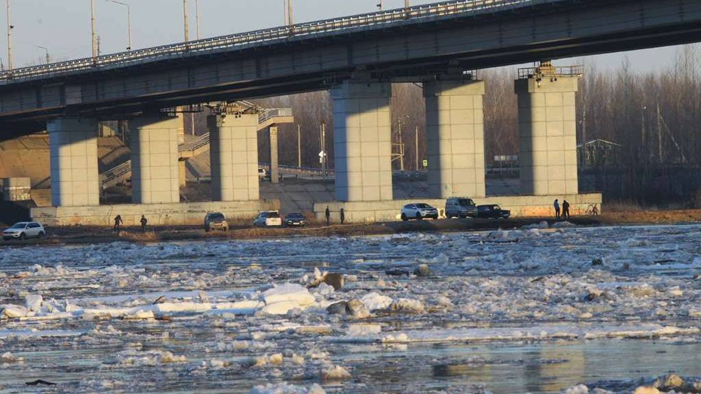 Уровень воды в Оби рядом с Барнаулом снижается Фото №1