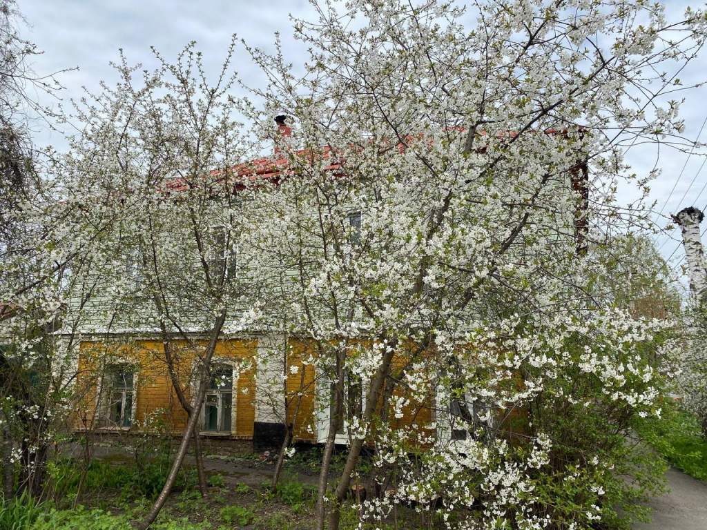 В Курской области 17 апреля ожидаются дожди, туман и от 5 до 21 градуса