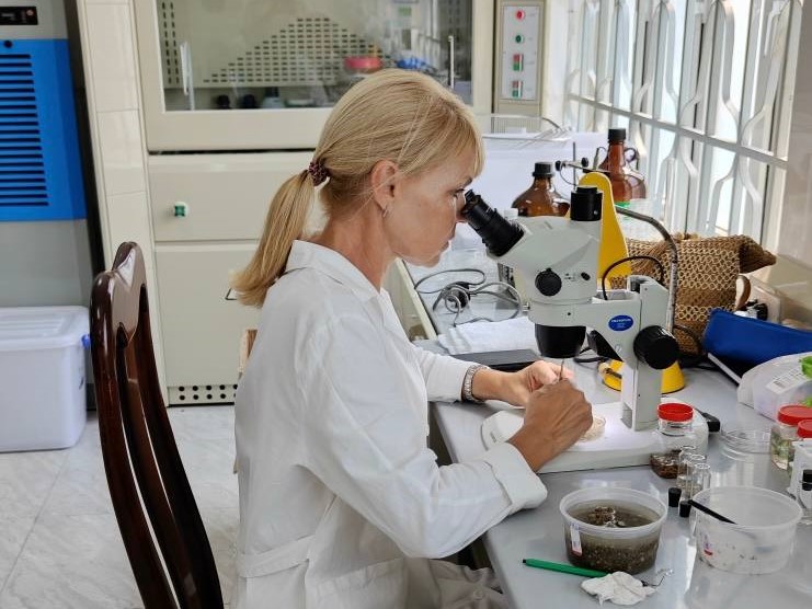 Вьетнам 4.jpg