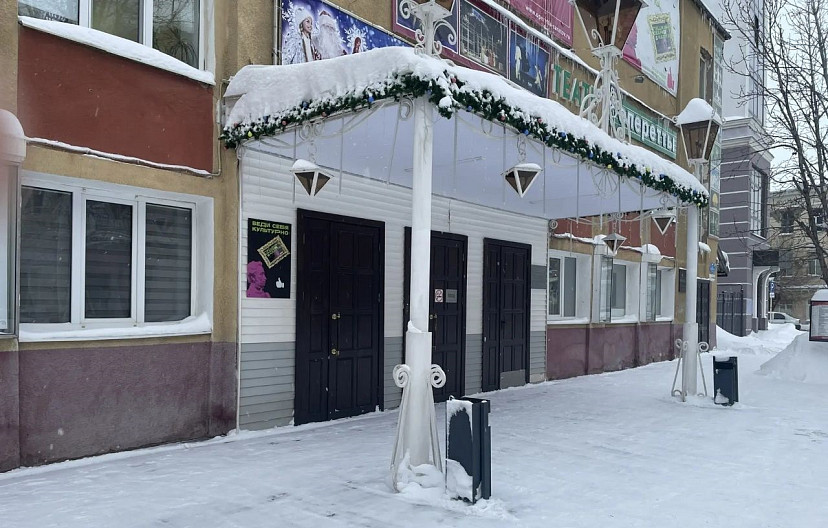 Министр проконтролировала уборку снега в учреждениях культуры 