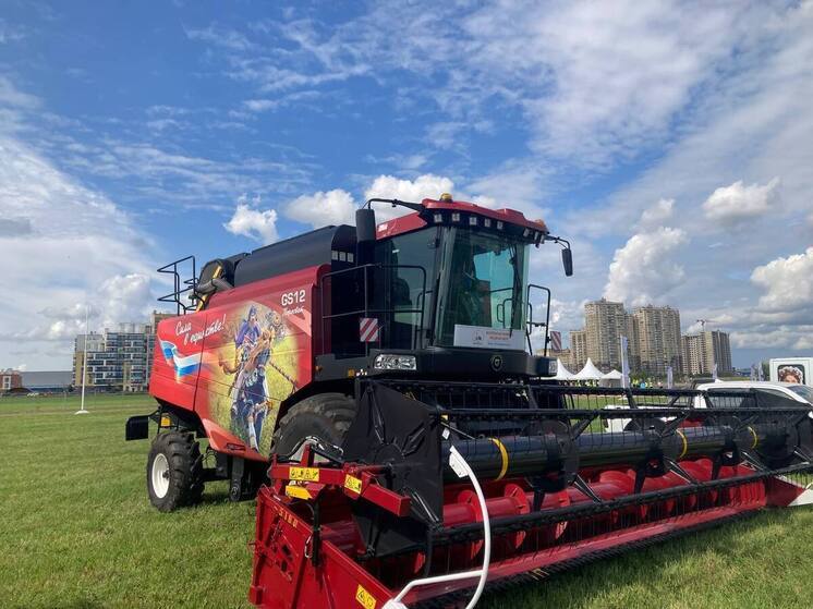 Зеленоградск стал главным земельным нарушителем в Калининградской области