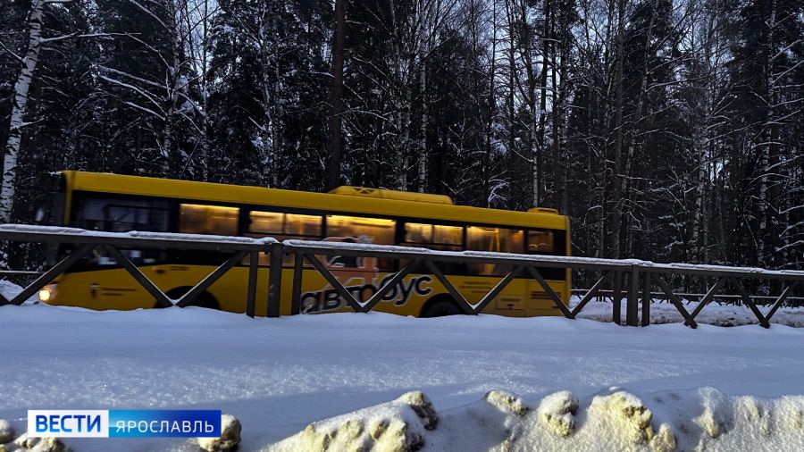 Жители Красного Бора поблагодарили властей за решение проблемы с маршрутом №132