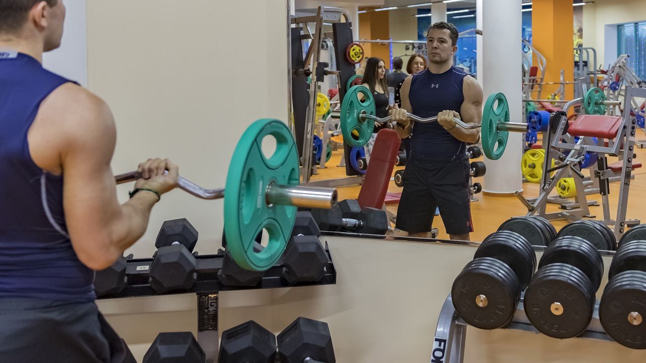 Вернут ли деньги фитнес клубы. Мой спорт цифровизация.
