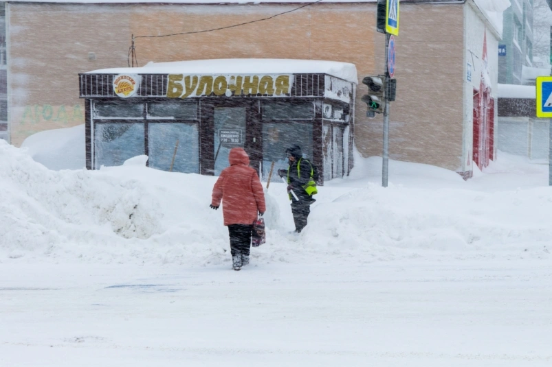 Метель в Южно-Сахалинске Владислав Беляцкий, ИА SakhalinMedia