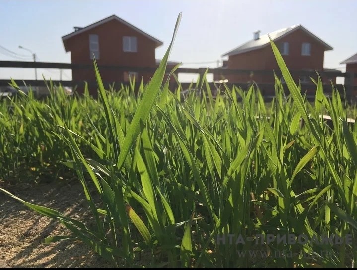 Выморочные участки предлагается выделять многодетным в Нижегородской области