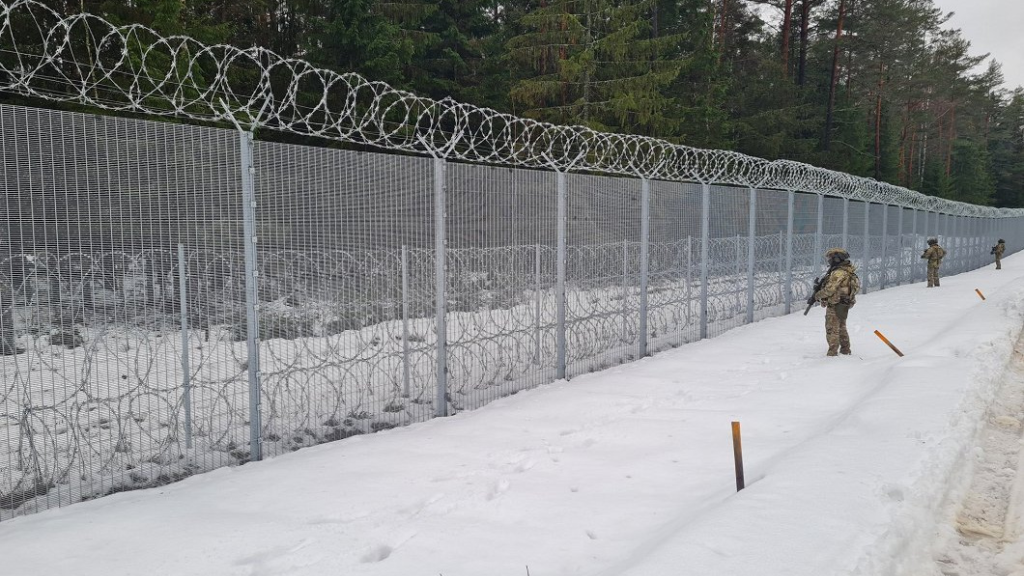 В 2025 году остановлено 12 046 попыток пересечь границу нелегально