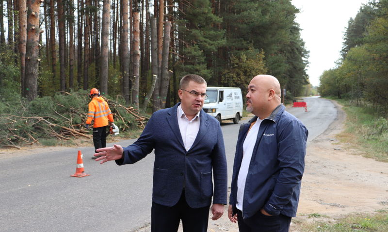 Расширение дороги за Волгой в Ярославле проведут с сохранением деревьев