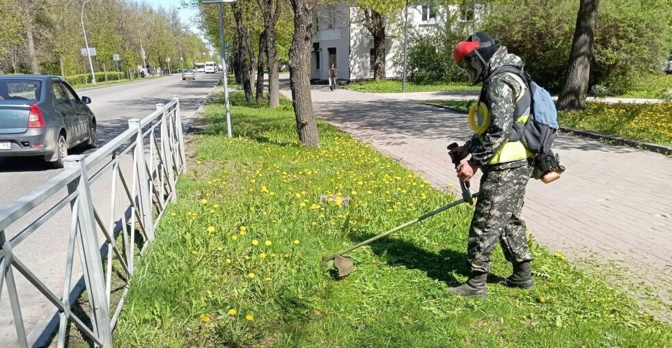 В зелёных уголках Великого Новгорода зажужжали первые в этом сезоне бензокосы
