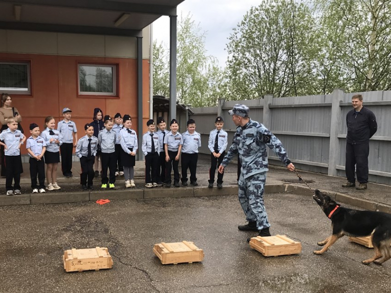 JPG Файл