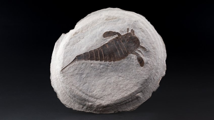 горный музей