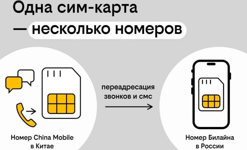 Китайский номер без перелётов: как купить в России, а зарегистрировать онлайн