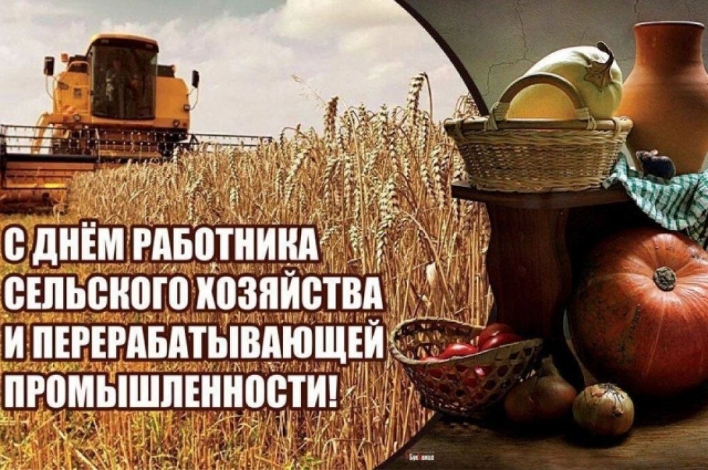 Уважаемые труженики села, работники и ветераны агропромышленного комплекса Верхнеуральского района!