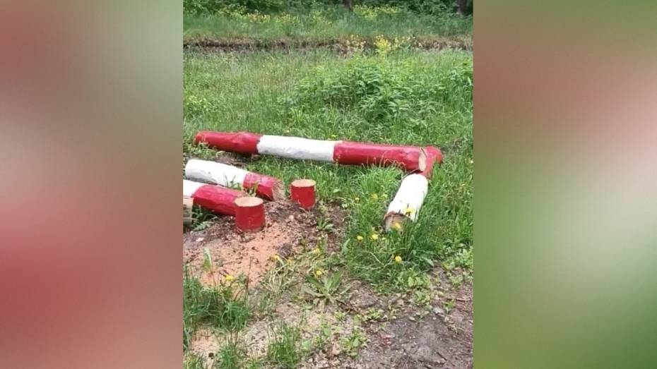 В Репьевском районе распилили деревянный шлагбаум на въезде в лес