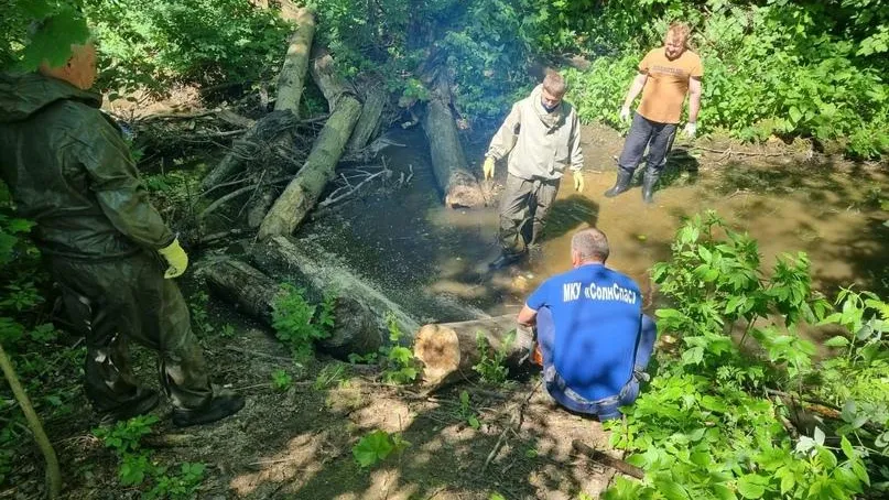 Спасатели Солнечногорска расчистили реку в деревне Голубое