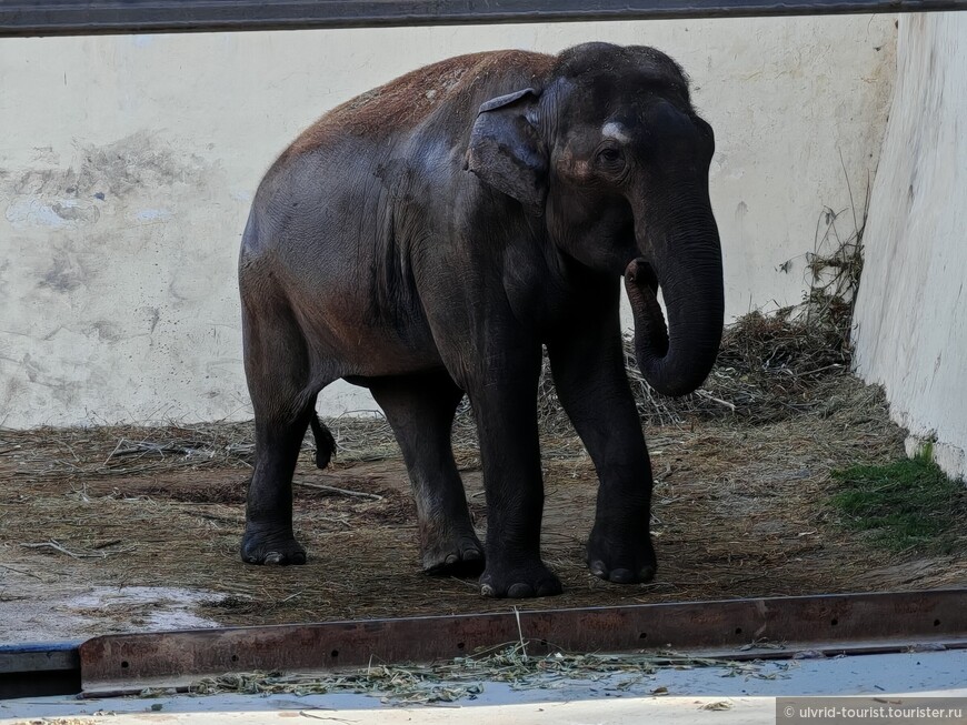 От Эребуни до Еревана