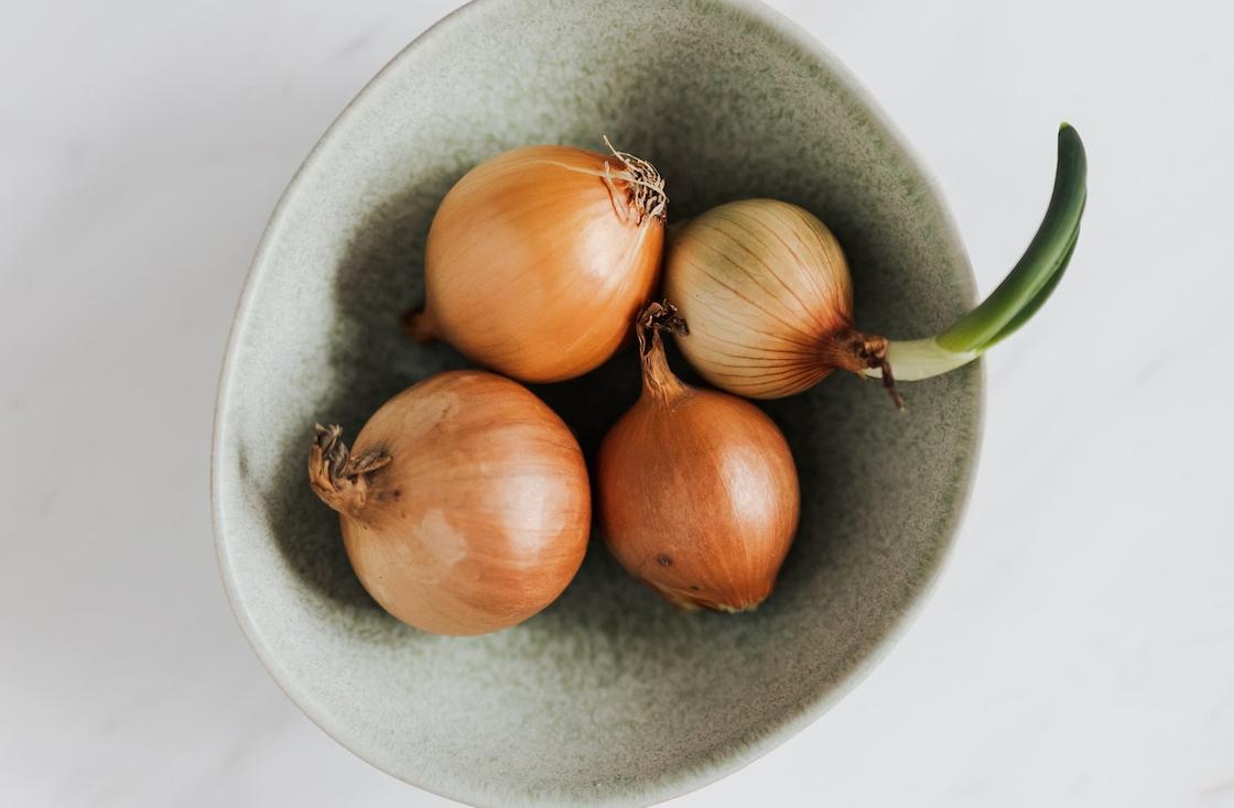 Лук амбассадор луковица сажать. 4 луковиц. 4 луковиц. 4 луковиц. 4 луковиц.