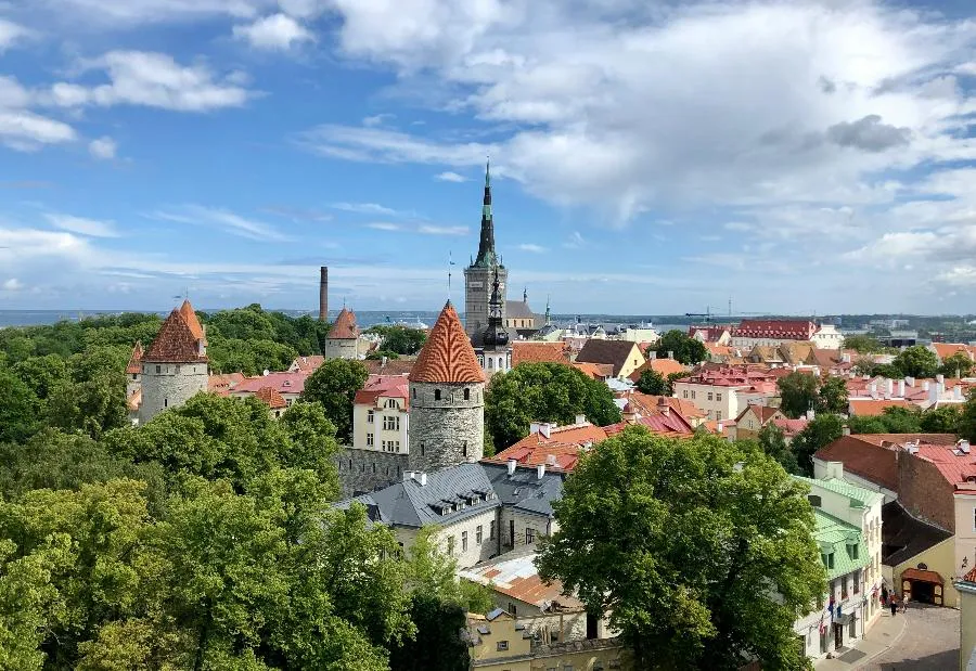 Неожиданная подработка. Как Эстония решила стать европейской тюрьмой | ФОТО Karson on Unsplash