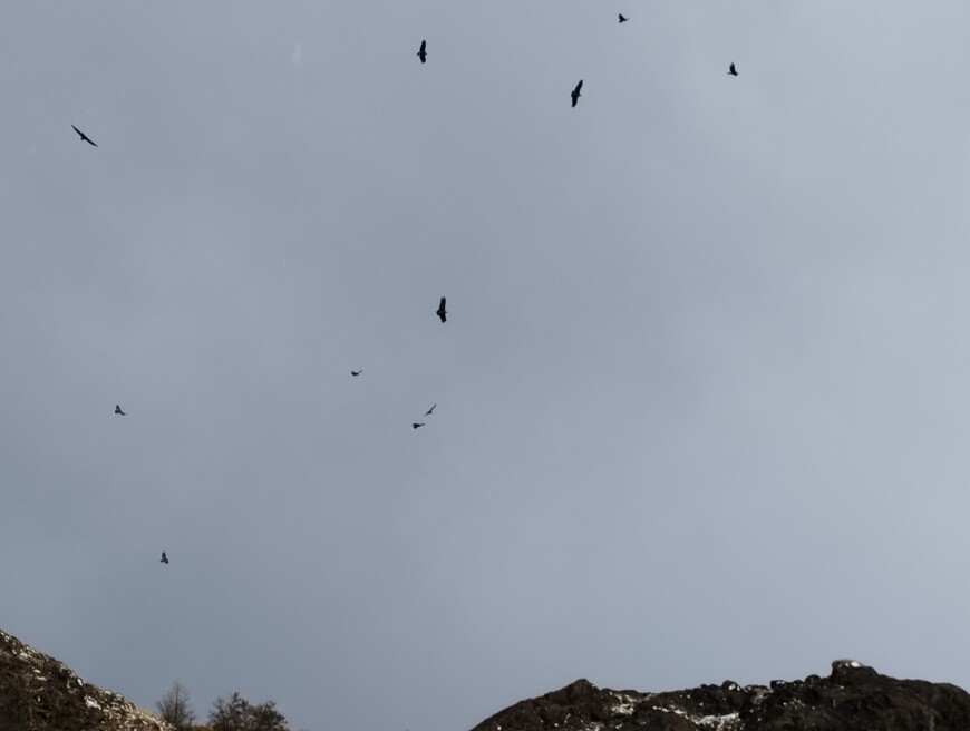 Фиц Рой – плод терпения