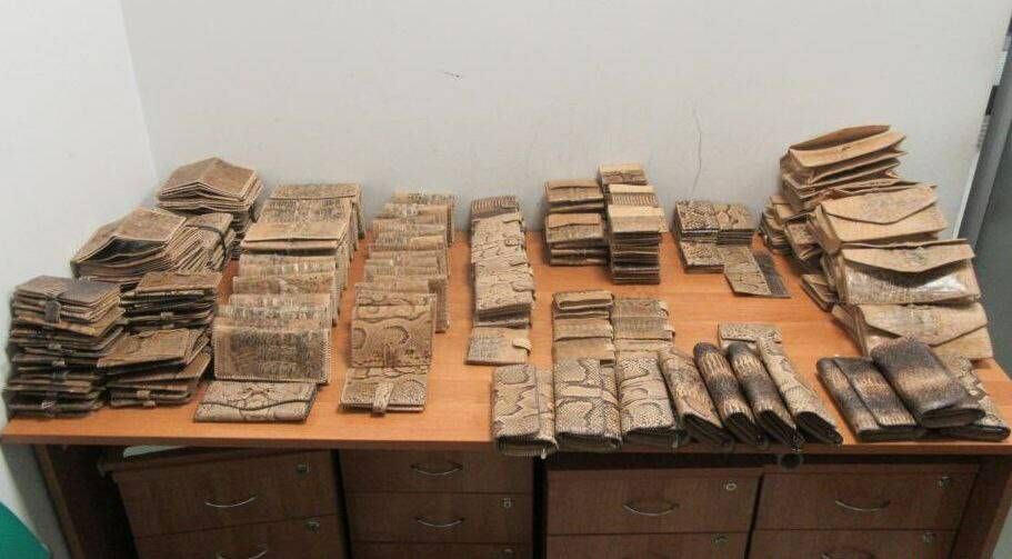 Жителя Геленджика будут судить в Татарстане за контрабанду изделий из рептилий