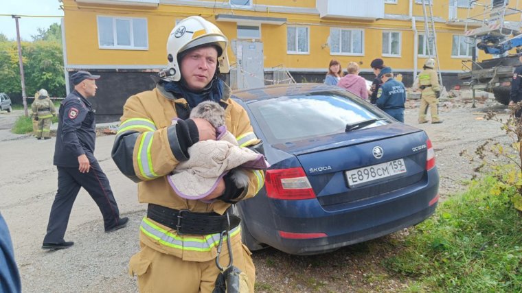 Домашнее животное успешно вынесли из частично обрушенного здания