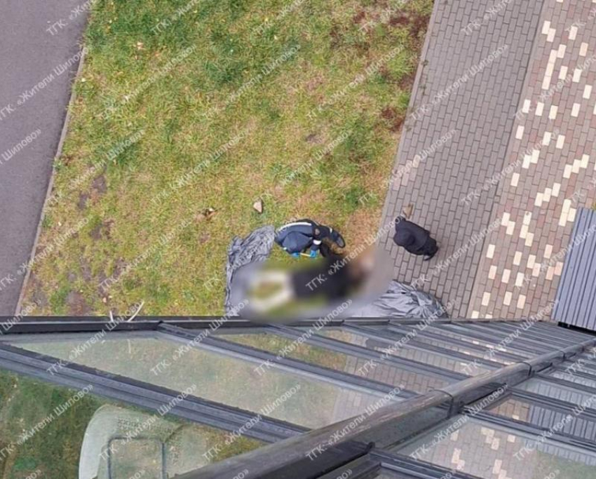 Труп несовершеннолетней обнаружили в воронежском Шилово