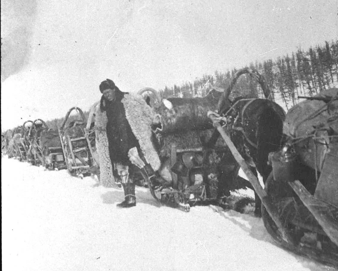 Доставка грузов по зимнику. 30-е годы ХХ-го века