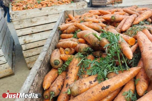 В Ленобласти годовалый ребенок умер, подавившись морковью - Фото 1