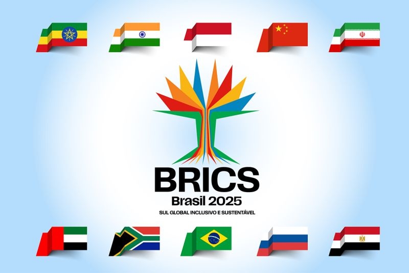 BRICS-illustration-06