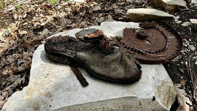 Фото: «Кубаньпоиск».