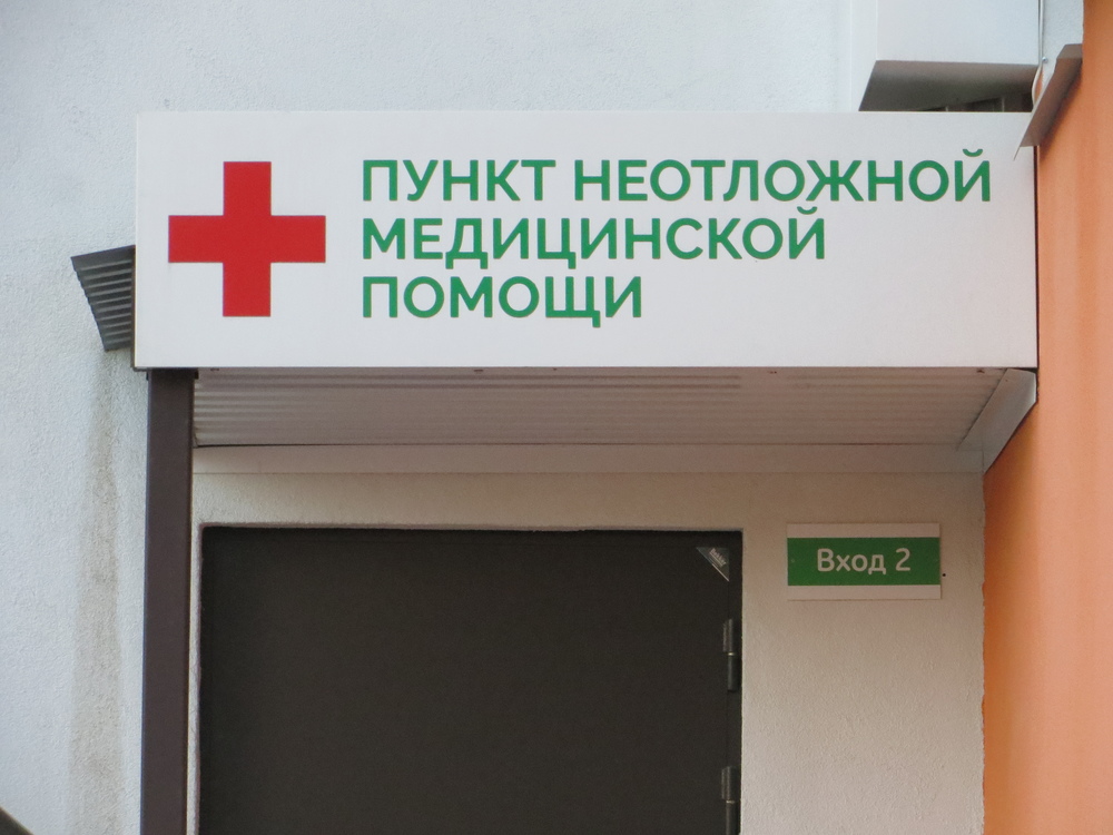 Фото: Николай Синегубов