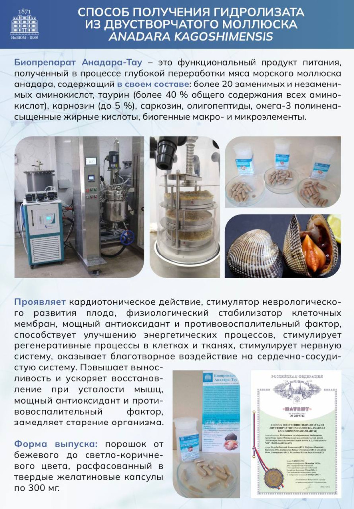 Новое время 10.jpg