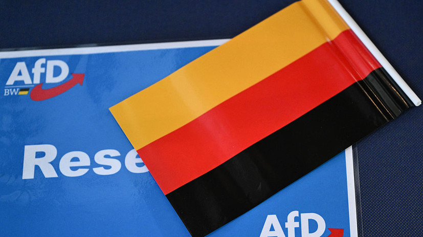 Bild: в Германии рейтинг АдГ достиг рекордных 29%
