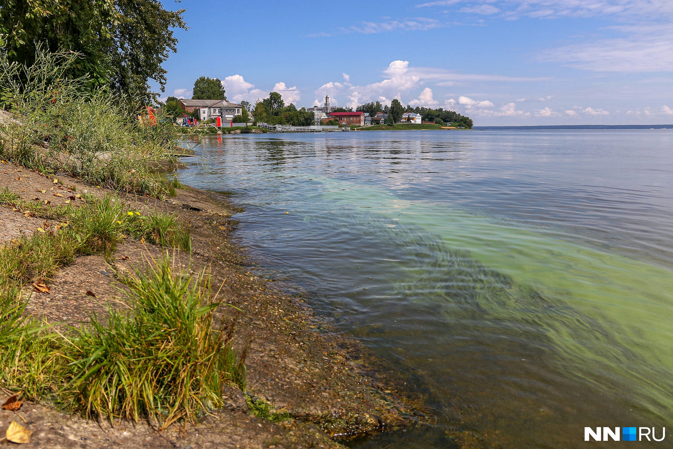 белая речка горьковское море