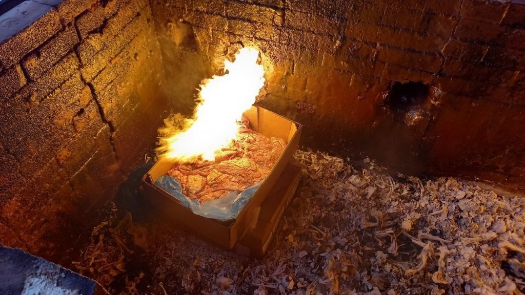 Фото: управление Россельхознадзора в Петербурге и Ленобласти