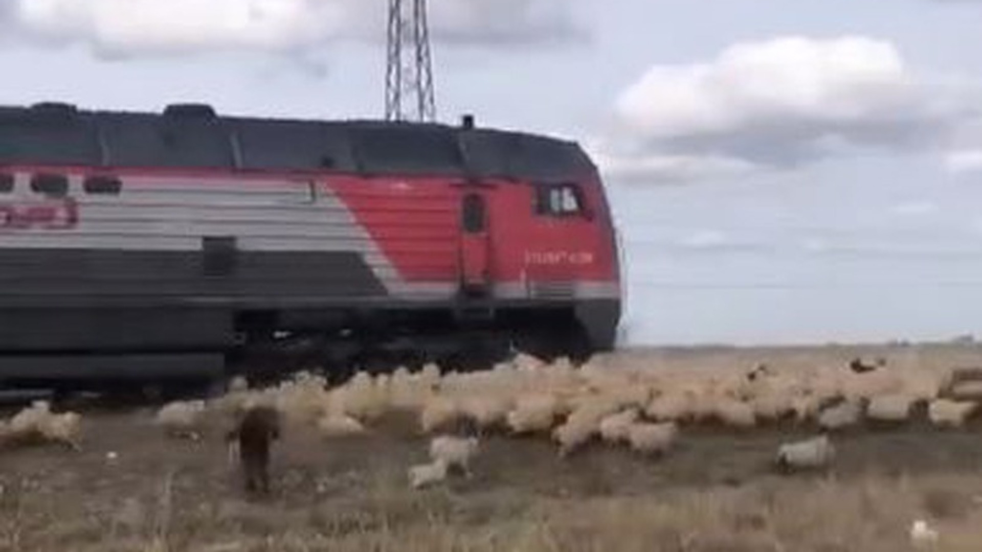 Пенза дагестан поезд. Дагестан поезд. ЧП Дагестан у железной дороги. Ростов Дагестан поезд. Железная дорога Ростов на Дону Дагестан.