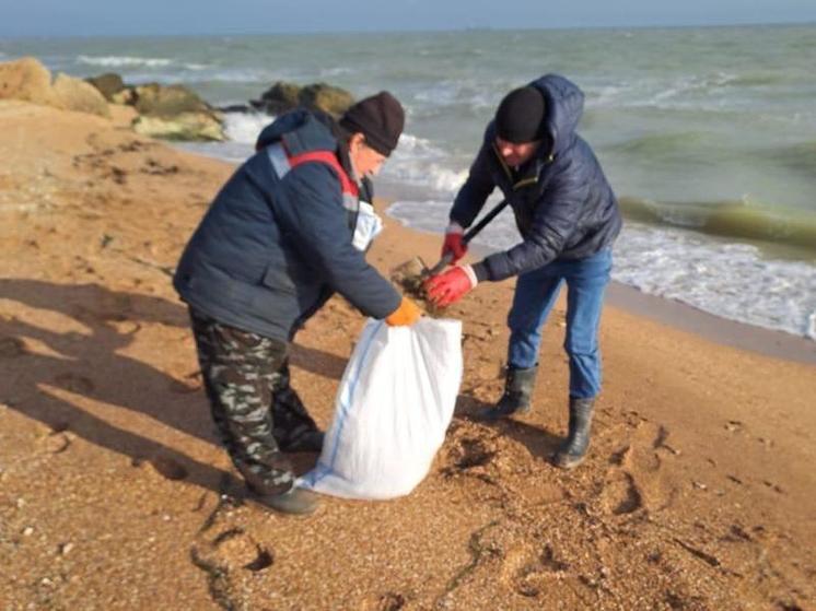 В Крыму собрали больше 130 тонн загрязненного мазутом грунта