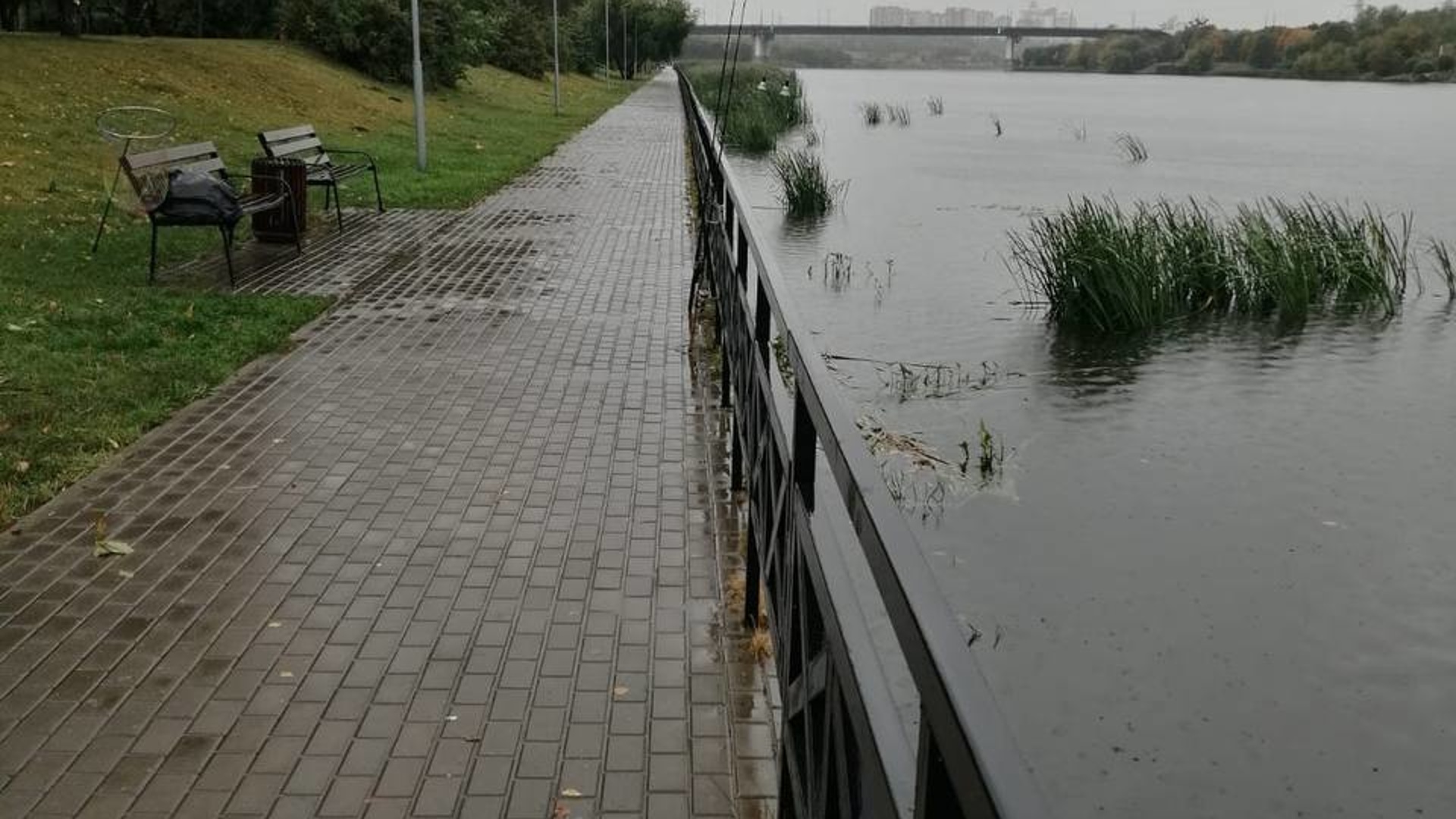 Найдены дети в реке. Борисовские пруды 30. В Москве реке нашли тело. Водоворот на Борисовских прудах.