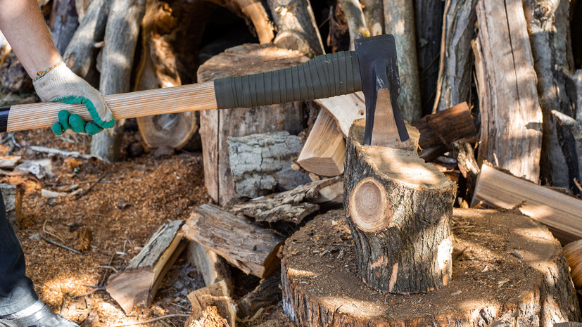 В Совфеде предложили упростить заготовку дров для жителей удалённых районов