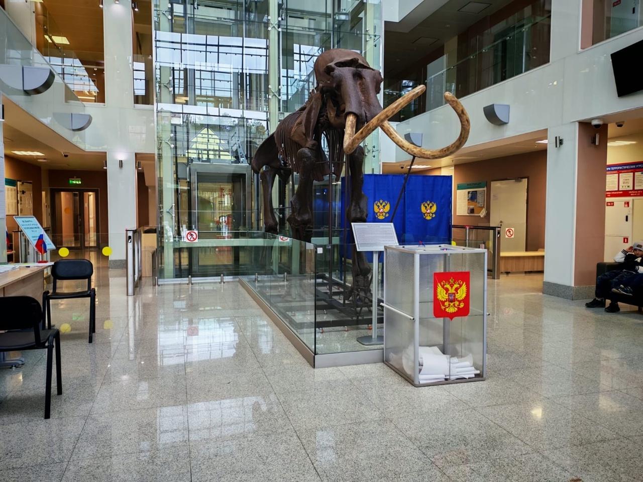 Фото В Новосибирской области проходят выборы в Горсовет и Заксобрание. День 2 10