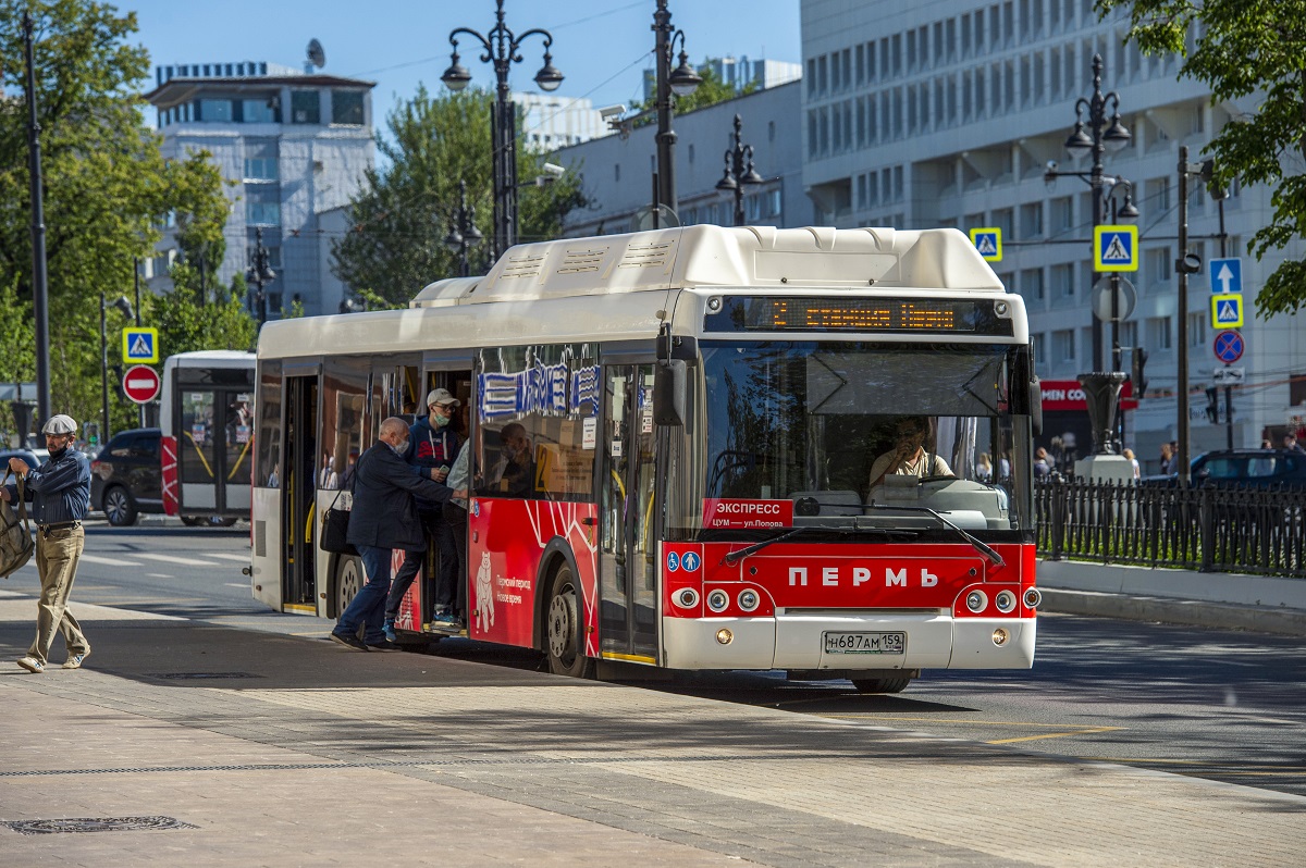 Автобусы в перми фото