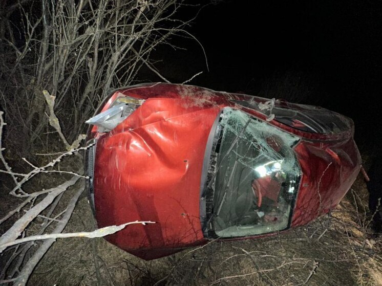 На Алтае неуправляемая иномарка вылетела в кювет и опрокинулась