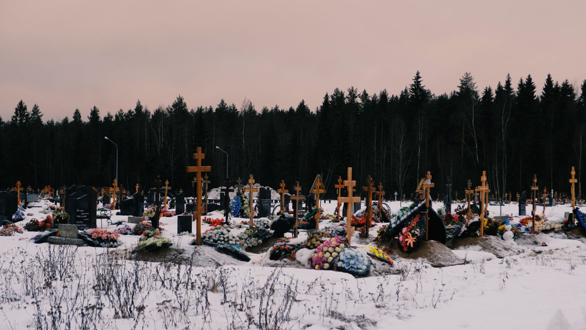 северное кладбище в санкт петербурге