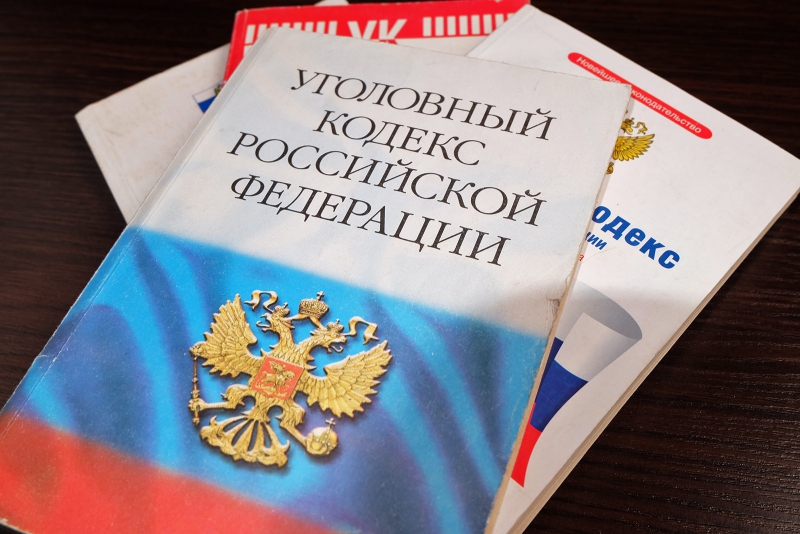 За год с небольшим ленчанин задолжал по алиментам более 490 тысяч рублей