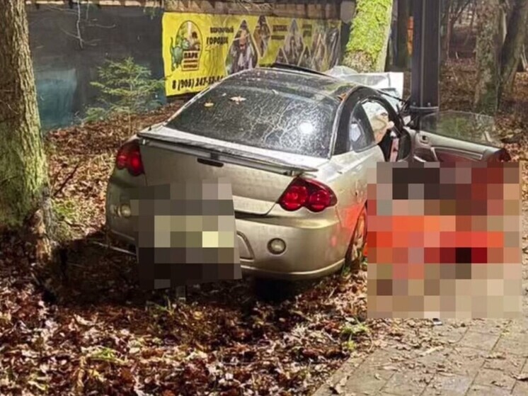 За смертельное ДТП в Светлогорске водителю могут дать 5 лет тюрьмы