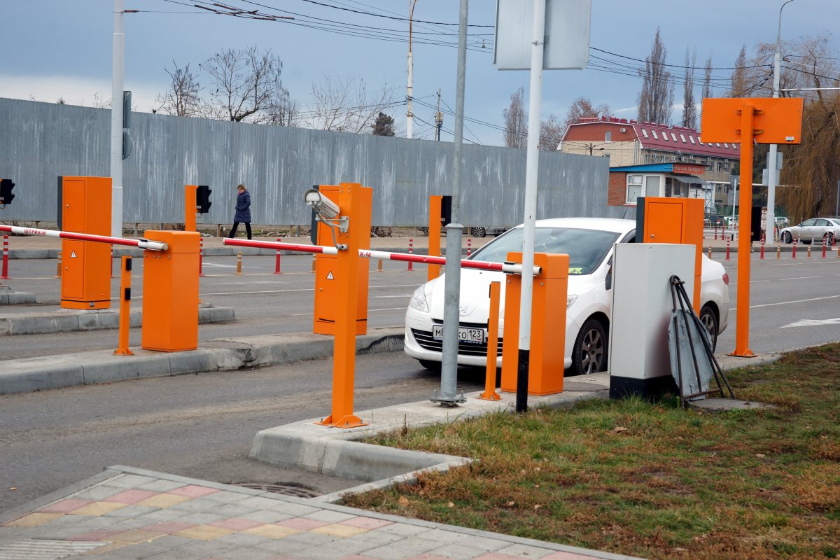 В РФ предложили разрешить бесплатную парковку двух авто для многодетных семей