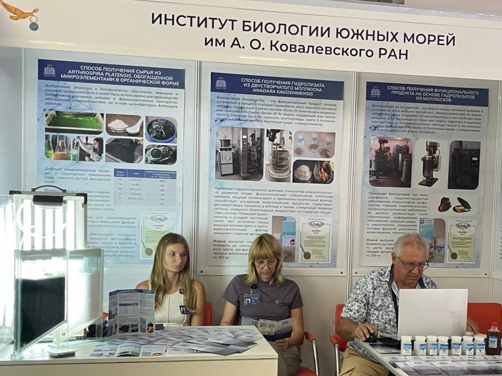 Новое время 2.jpg